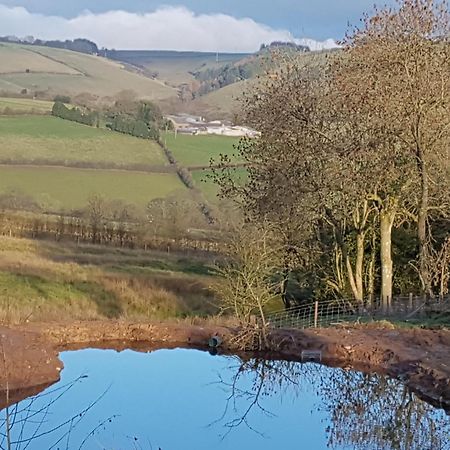 Eco Cottage Joe The Buck Craven Arms Esterno foto