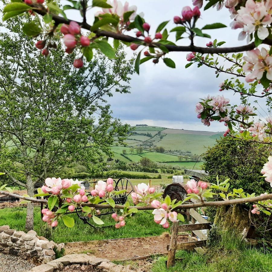 Eco Cottage Joe The Buck Craven Arms Esterno foto