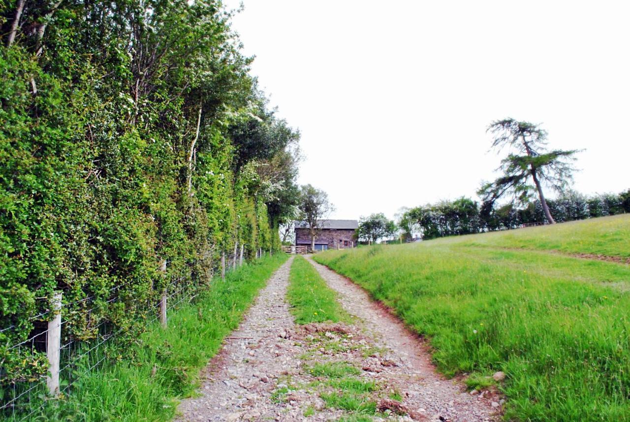 Eco Cottage Joe The Buck Craven Arms Esterno foto