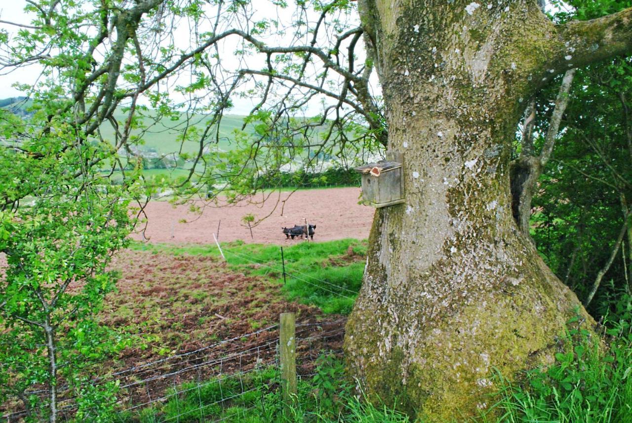 Eco Cottage Joe The Buck Craven Arms Esterno foto