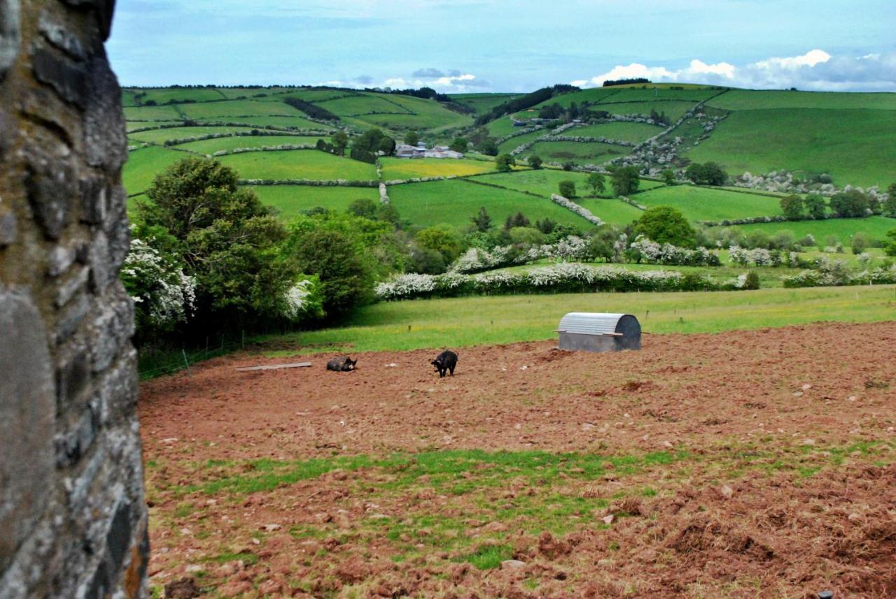 Eco Cottage Joe The Buck Craven Arms Esterno foto