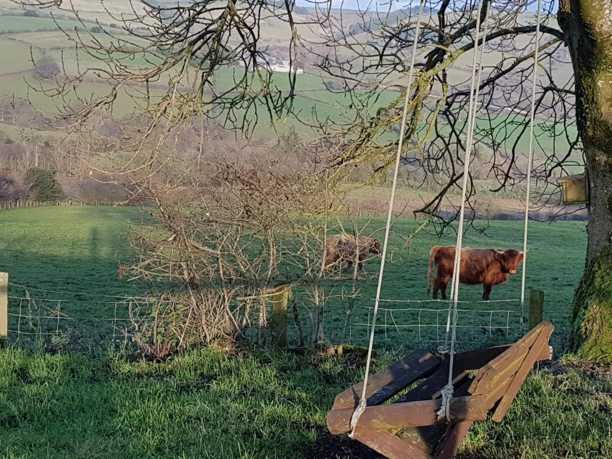 Eco Cottage Joe The Buck Craven Arms Esterno foto