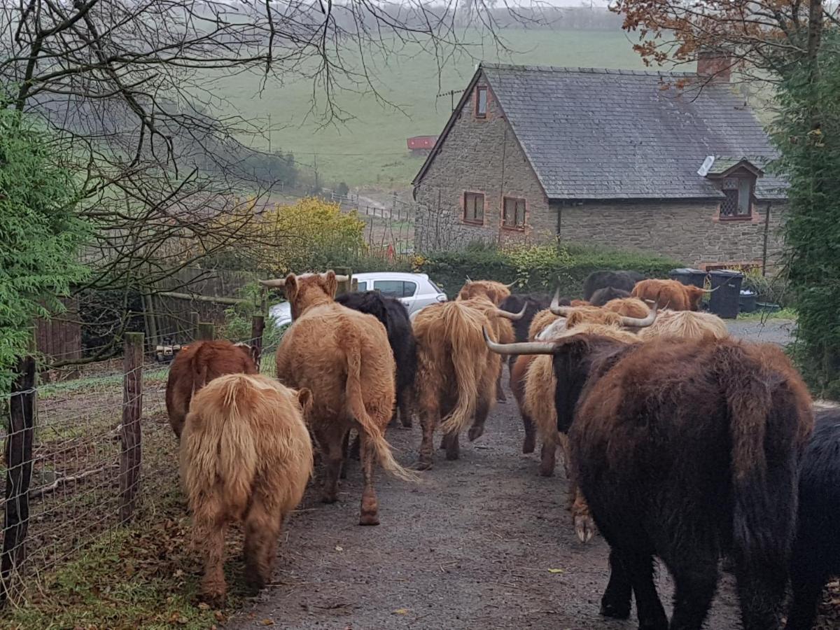 Eco Cottage Joe The Buck Craven Arms Esterno foto