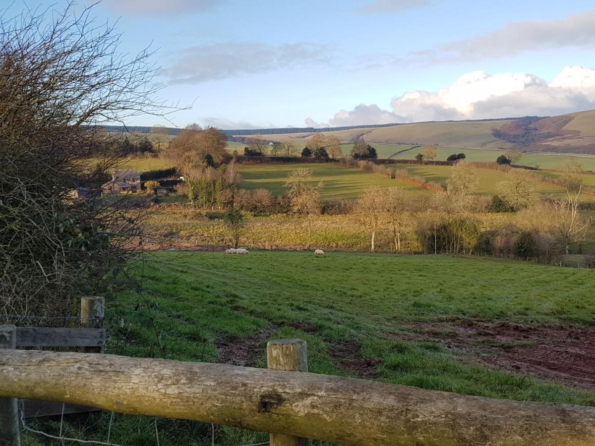 Eco Cottage Joe The Buck Craven Arms Esterno foto